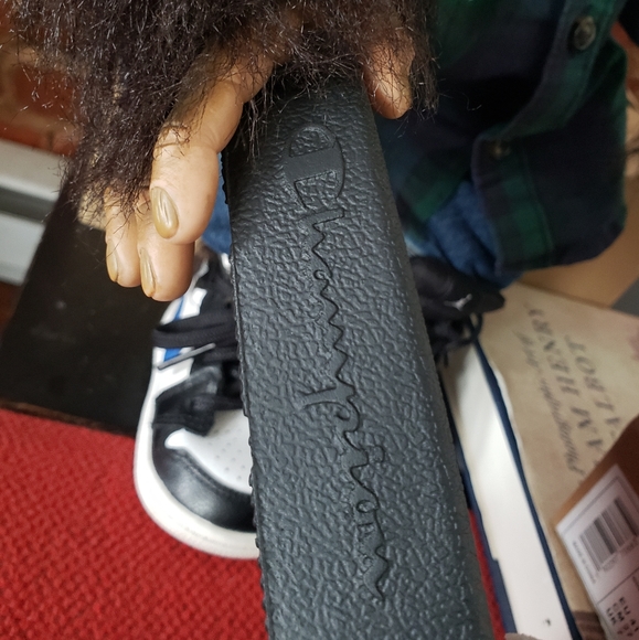 Champion Slides - Picture 8 of 9